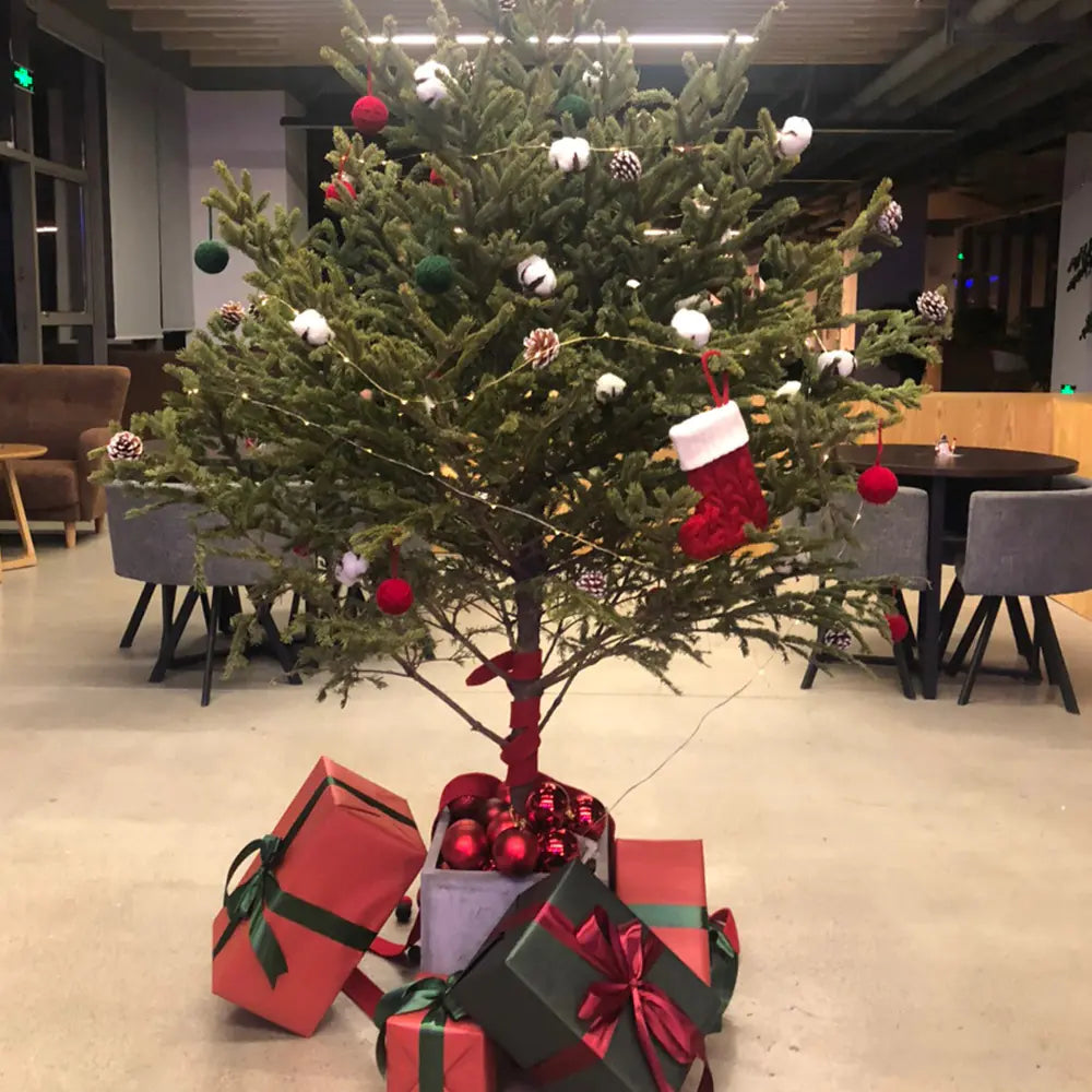 Meias de Natal com Letras